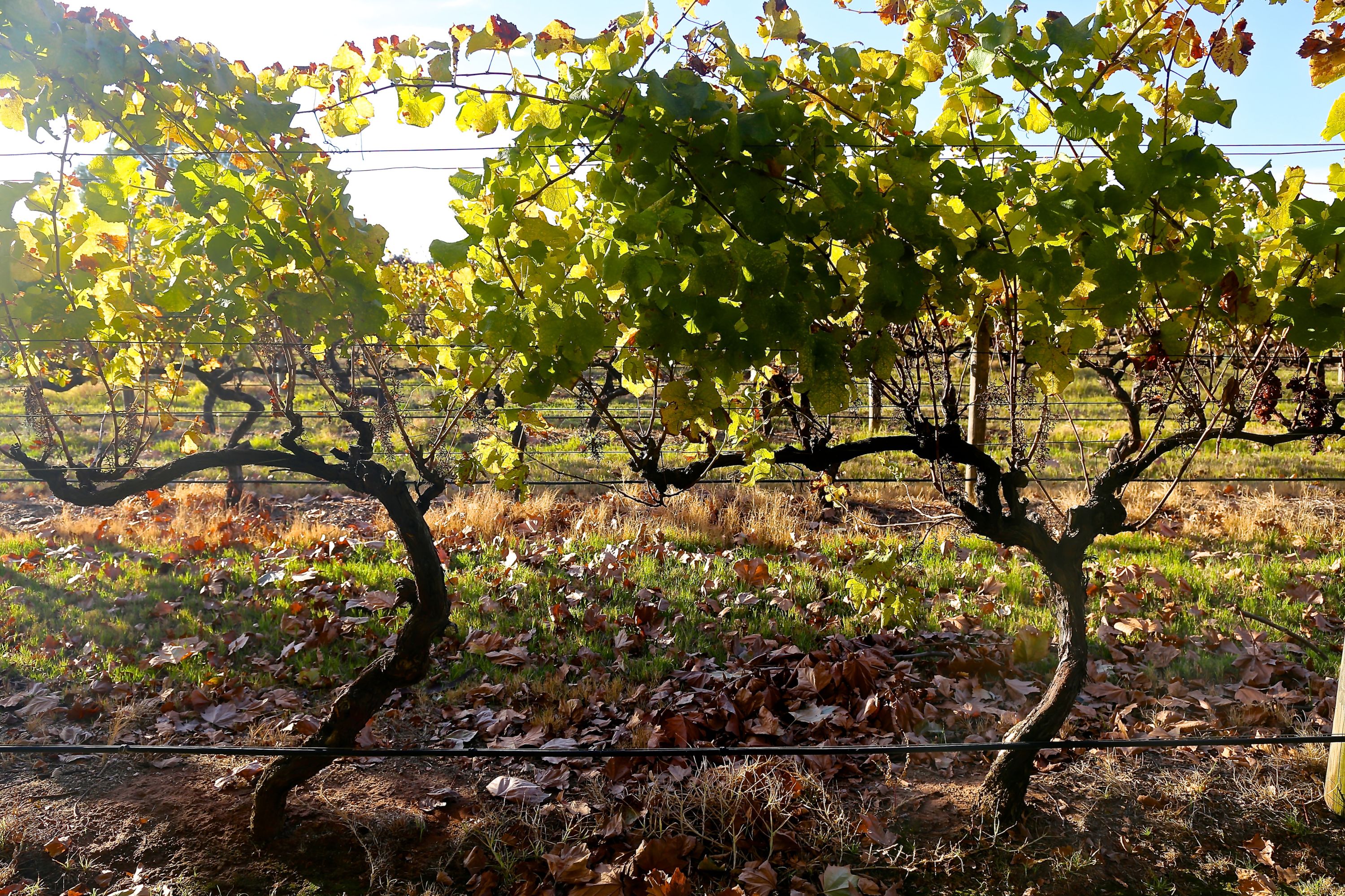 Margaret River Air Conditioning & Refrigeration Busselton Air